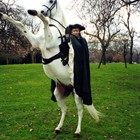 Horsemaster 11