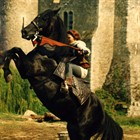 Horsemaster 12